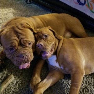 Meet your Posher, Kelli